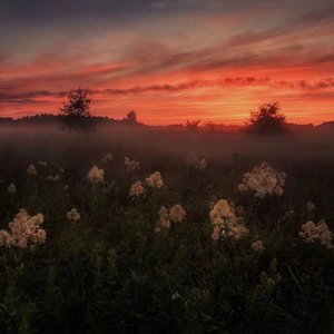 成人性爱外国网站
